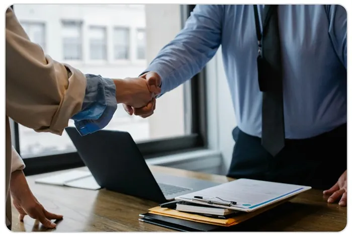 gold buckle forest green dog collar and leash set gold buckle forest green dog collar and leash set